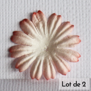 Daisy 1″ (2,5cm) bicolore – Lot de 2 – Blanc/Corail