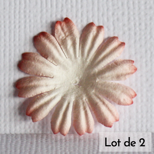 fleur papier petite blanc corail