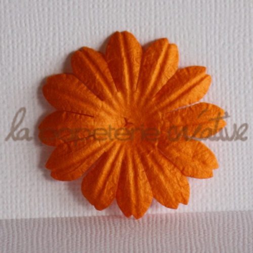 Daisy 1,5" (4cm) - Lot de 2