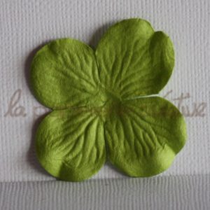 Hydrangea large 2″ (5cm) – Lot de 2 – Vert chartreuse