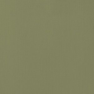 Cardstock texturé 12×12″ – Olive