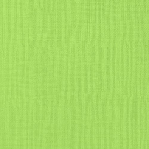 Cardstock texturé 12x12" - Key lime
