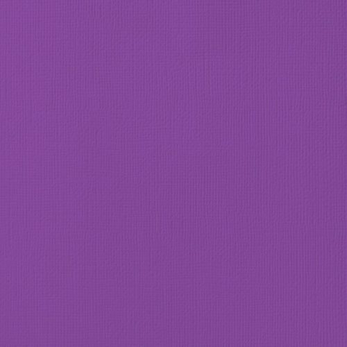 Cardstock texturé 12x12" - Grape