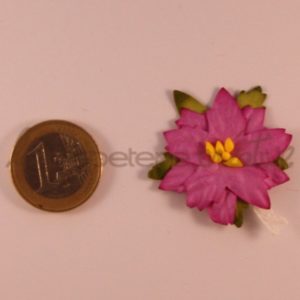 Poinsettia – fleur complète 1″ (2.5cm) – Lot de 2 – Magenta