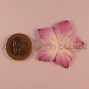 Poinsettia 1.5″ (4cm) dégradé – Lot de 2 – Blanc/Lavande