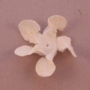 Curly Gardenia 1″ (2.5cm) – Lot de 2 – Blanc