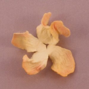 Curly Gardenia 1″ (2.5cm) bicolore – Lot de 2 – Jaune/Saumon