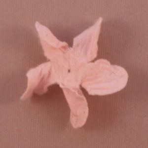 Curly Gardenia 1″ (2.5cm) – Lot de 2 – Rose pâle