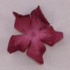 Curly Gardenia 1" (2.5cm) - Lot de 2