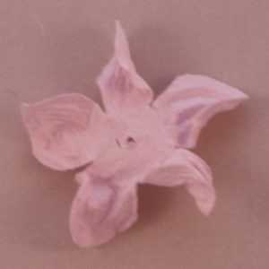 Curly Gardenia 1″ (2.5cm) – Lot de 2 – Parme