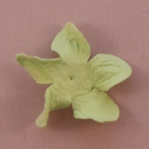 Curly Gardenia 1″ (2.5cm) – Lot de 2 – Vert menthe