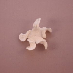 Curly Gardenia 2″ (5cm) – Lot de 2 – Blanc