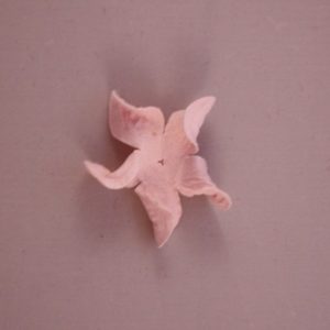 Curly Gardenia 2″ (5cm) – Lot de 2 – Rose pâle
