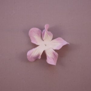Curly Gardenia 2″ (5cm) bicolore – Lot de 2 – Blanc/Parme