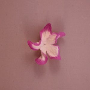 Curly Gardenia 2″ (5cm) bicolore – Lot de 2 – Blanc/Magenta