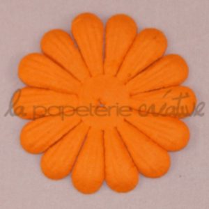 Daisy 2″ (5cm) – Lot de 2 – Abricot