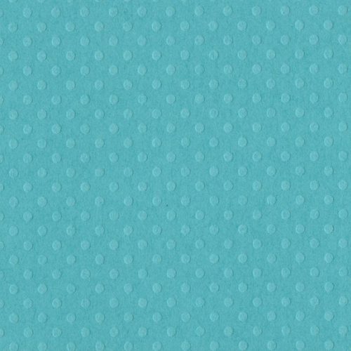 Cardstock embossé 12x12" Dotted Swiss