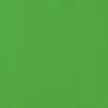 Cardstock texturé 12x12" - Grass